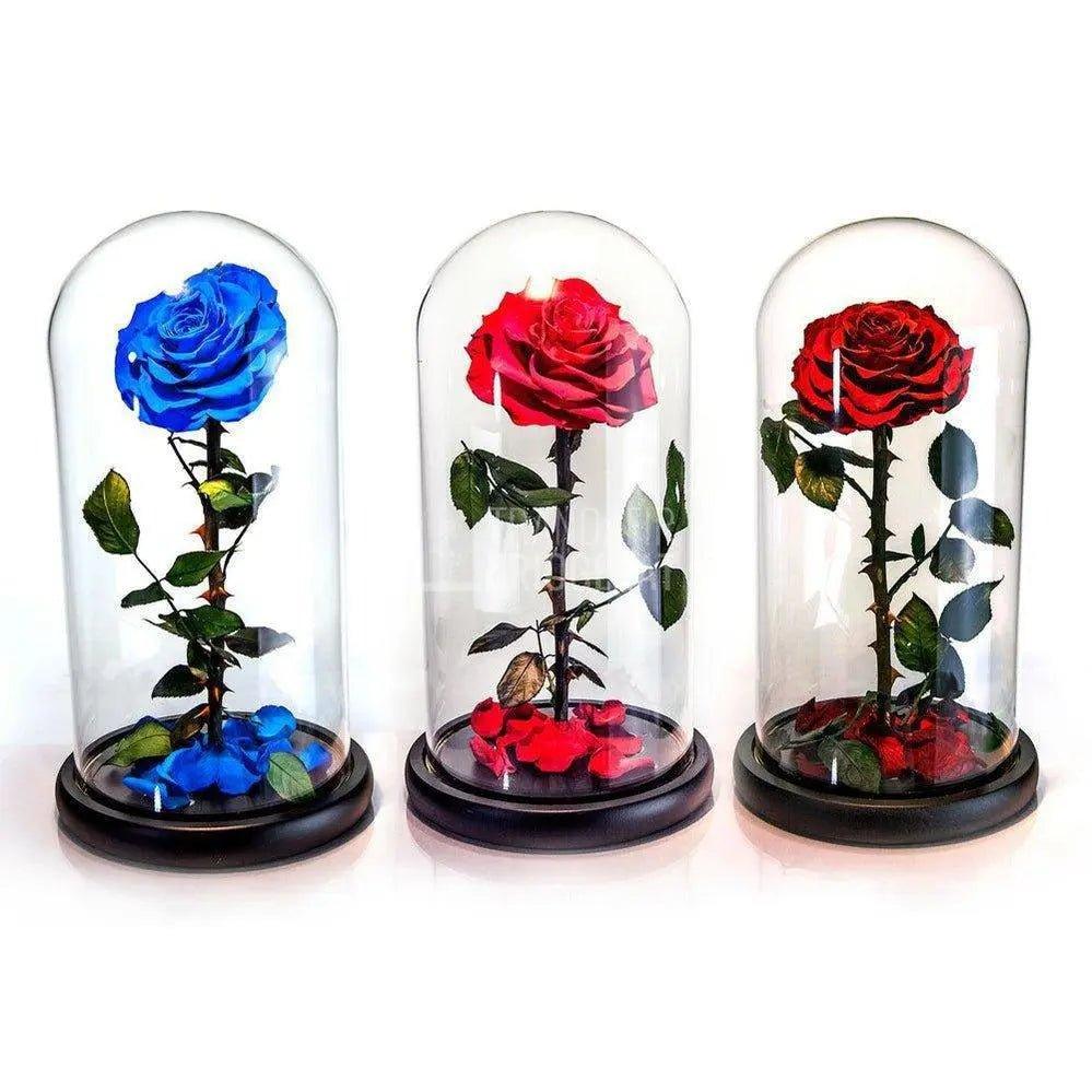 Trandafir Criogenat rosu Ø8cm in cupola de sticla 12x25cm - Trandafir-Criogenat.ro
