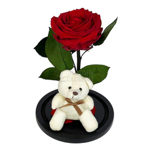 Trandafir Criogenat rosu Ø8cm in cupola de sticla cu Ursulet - Trandafir-Criogenat.ro