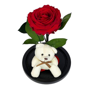 Trandafir Criogenat rosu Ø8cm in cupola de sticla cu Ursulet - Trandafir-Criogenat.ro