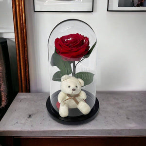 Trandafir Criogenat rosu Ø8cm in cupola de sticla cu Ursulet - Trandafir-Criogenat.ro