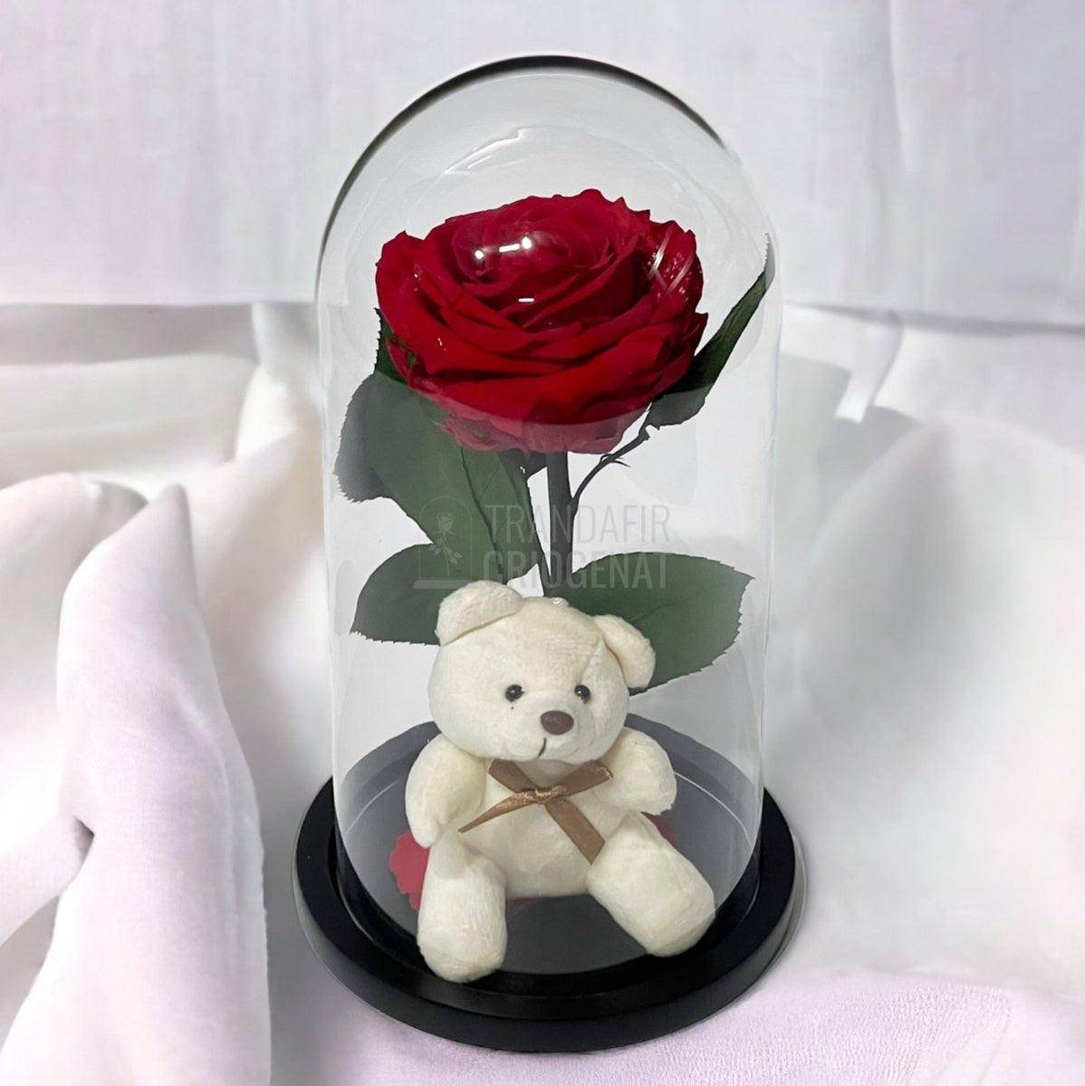Trandafir Criogenat rosu Ø8cm in cupola de sticla cu Ursulet - Trandafir-Criogenat.ro