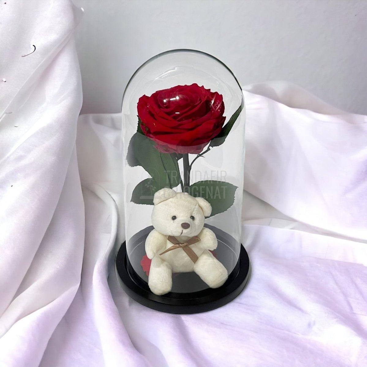 Trandafir Criogenat rosu Ø8cm in cupola de sticla cu Ursulet - Trandafir-Criogenat.ro