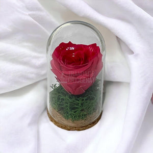 Trandafir Criogenat roz inchis in cupola de sticla 5x9,5cm (marturie) - Trandafir-Criogenat.ro