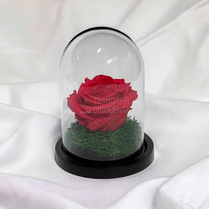 Trandafir Criogenat roz inchis Ø8cm in cupola sticla 10x15cm - Trandafir-Criogenat.ro