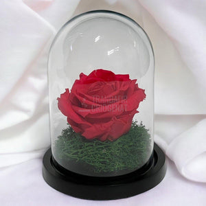 Trandafir Criogenat roz inchis Ø8cm in cupola sticla 10x15cm - Trandafir-Criogenat.ro