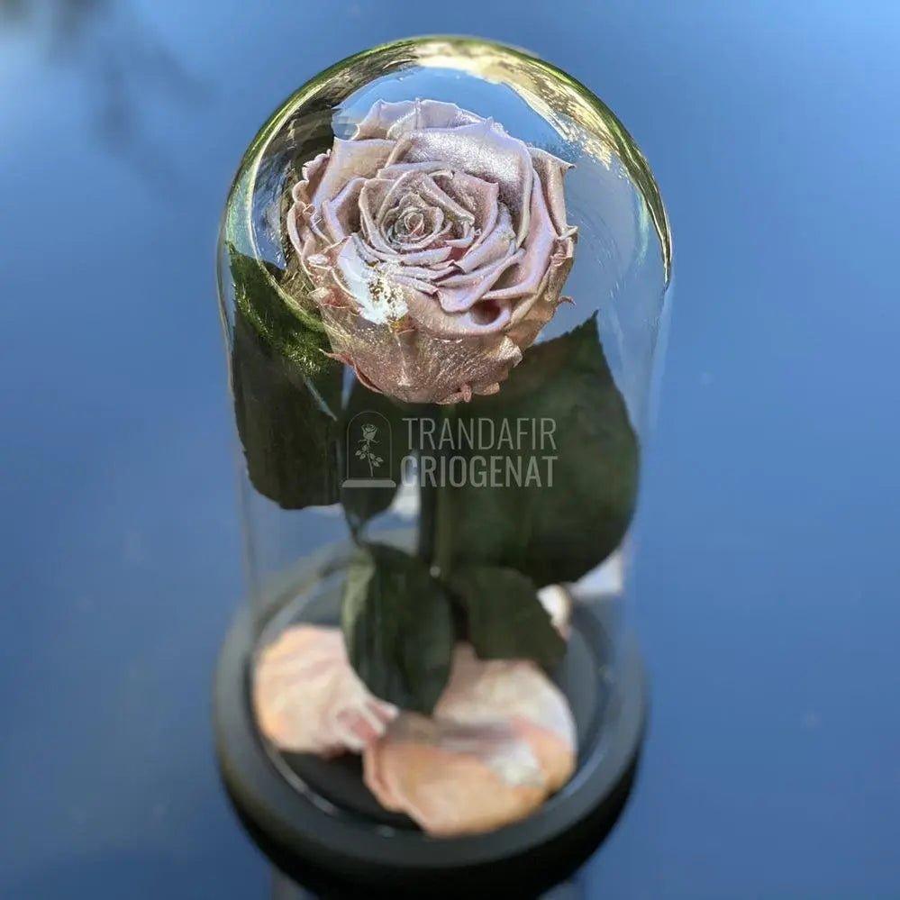 Trandafir Criogenat roz metalizat Ø6,5cm in cupola 10x20cm - Trandafir-Criogenat.ro