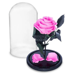 Trandafir Criogenat roz Ø6,5cm in cupola de sticla, cu mesaj - Trandafir-Criogenat.ro