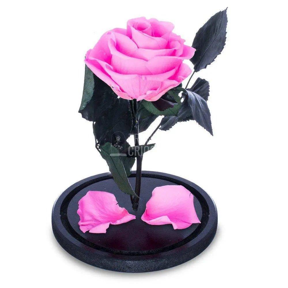 Trandafir Criogenat roz Ø6,5cm in cupola de sticla, cu mesaj - Trandafir-Criogenat.ro