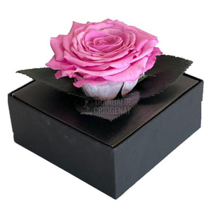 Trandafir Criogenat roz Ø7-8cm in cutie cadou 10x10x11cm - Trandafir-Criogenat.ro