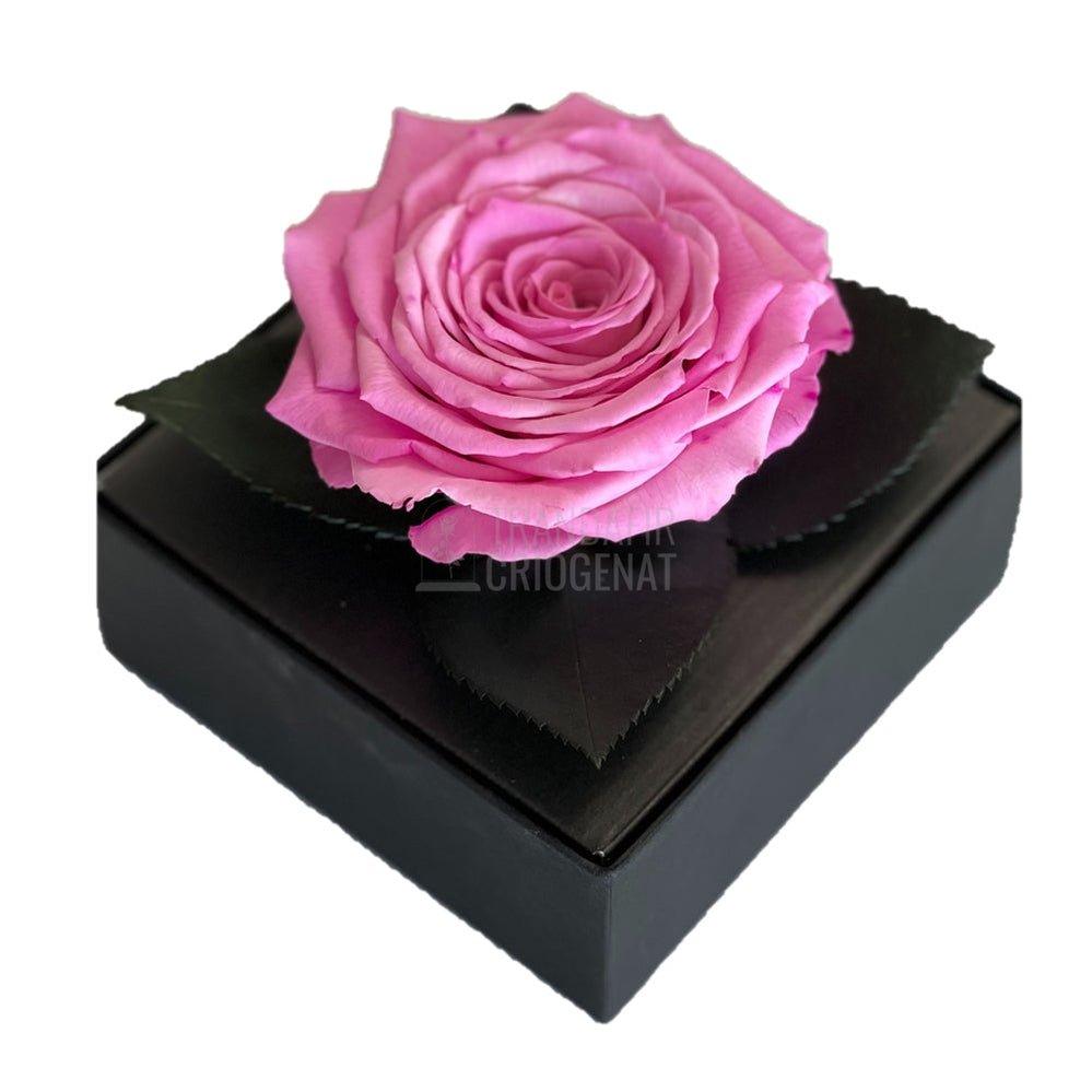 Trandafir Criogenat roz Ø7-8cm in cutie cadou 10x10x11cm - Trandafir-Criogenat.ro