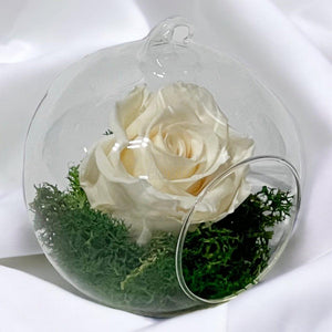 Trandafir Criogenat sampanie in glob de sticla Ø10cm - Trandafir-Criogenat.ro