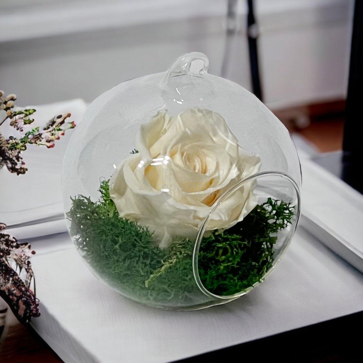 Trandafir Criogenat sampanie in glob de sticla Ø10cm - Trandafir-Criogenat.ro