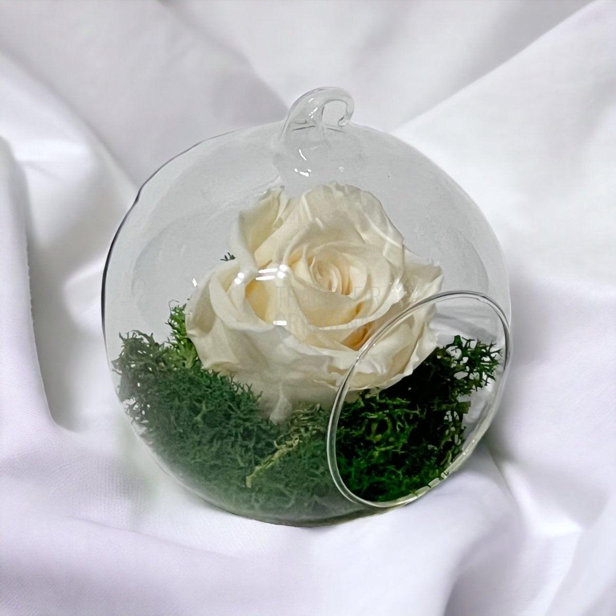 Trandafir Criogenat sampanie in glob de sticla Ø10cm - Trandafir-Criogenat.ro