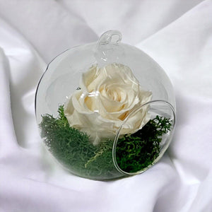 Trandafir Criogenat sampanie in glob de sticla Ø10cm - Trandafir-Criogenat.ro