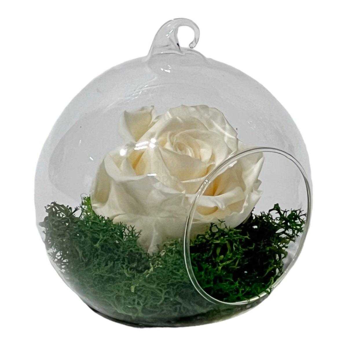 Trandafir Criogenat sampanie in glob de sticla Ø10cm - Trandafir-Criogenat.ro