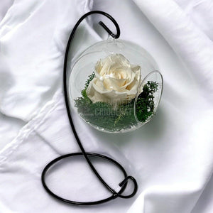 Trandafir Criogenat sampanie in glob sticla suspendat Ø10cm - Trandafir-Criogenat.ro