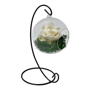 Trandafir Criogenat sampanie in glob sticla suspendat Ø10cm - Trandafir-Criogenat.ro