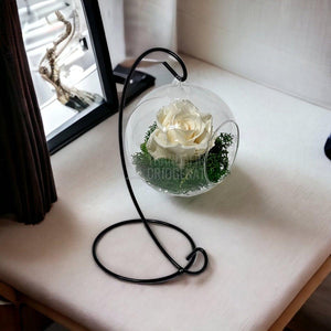 Trandafir Criogenat sampanie in glob sticla suspendat Ø10cm - Trandafir-Criogenat.ro