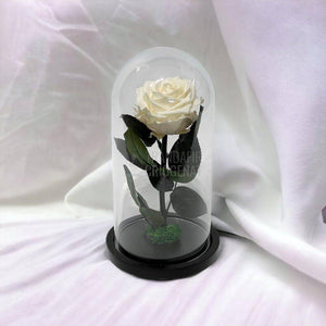 Trandafir Criogenat sampanie Ø8cm in cupola de sticla, cu mesaj - Trandafir-Criogenat.ro