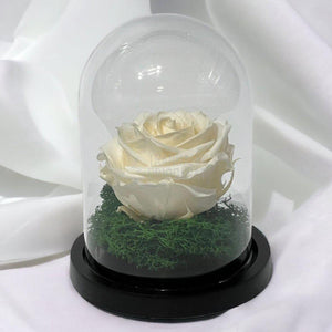 Trandafir Criogenat sampanie Ø8cm in cupola sticla 10x15cm - Trandafir-Criogenat.ro