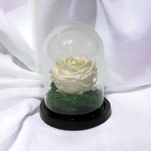 Trandafir Criogenat sampanie Ø8cm in cupola sticla 10x15cm - Trandafir-Criogenat.ro
