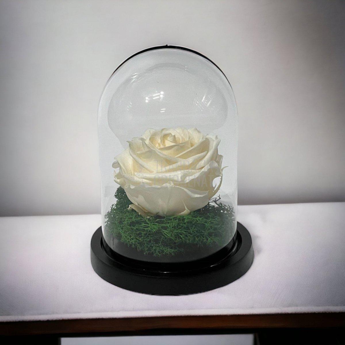 Trandafir Criogenat sampanie Ø8cm in cupola sticla 10x15cm - Trandafir-Criogenat.ro