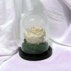 Trandafir Criogenat sampanie Ø8cm in cupola sticla 10x15cm - Trandafir-Criogenat.ro