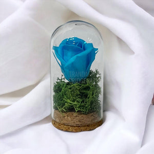 Trandafir Criogenat turquoise in cupola sticla 5x9,5cm (marturie) - Trandafir-Criogenat.ro