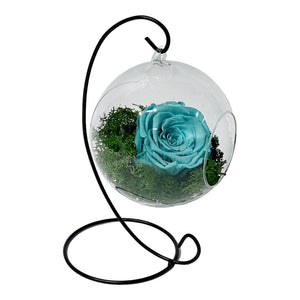 Trandafir Criogenat turquoise in glob de sticla suspendat Ø12cm - Trandafir-Criogenat.ro
