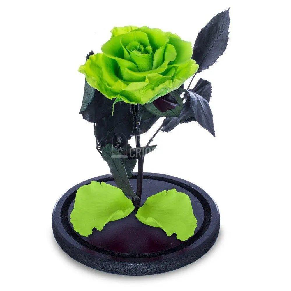 Trandafir Criogenat verde deschis Ø6,5cm in cupola de sticla - Trandafir-Criogenat.ro