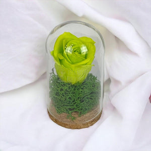 Trandafir Criogenat verde in cupola sticla 5x9,5cm (marturie) - Trandafir-Criogenat.ro
