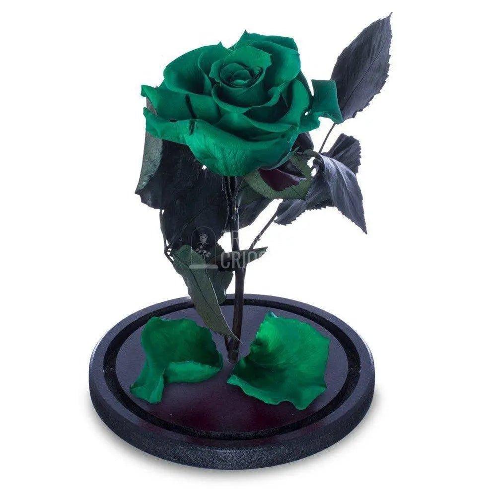 Trandafir Criogenat verde inchis Ø6,5cm in cupola 10x20cm - Trandafir-Criogenat.ro