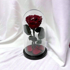 Trandafir Criogenat visiniu Ø8cm in cupola de sticla 12x25cm - Trandafir-Criogenat.ro