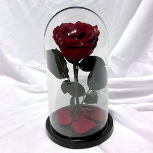 Trandafir Criogenat visiniu Ø8cm in cupola de sticla 12x25cm - Trandafir-Criogenat.ro