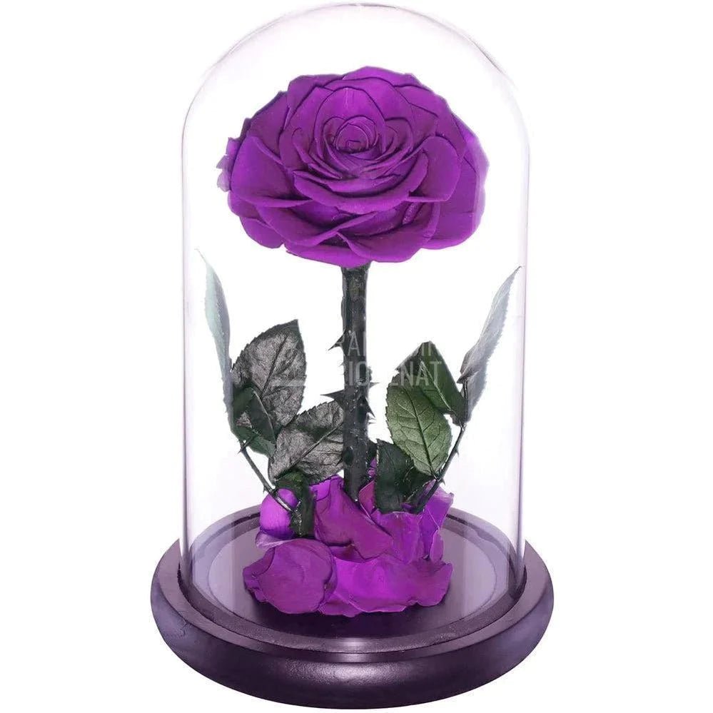 Cadoul Ideal pentru Cea Mai Buna Prietena (oferit cu orice ocazie) - Trandafir-Criogenat.ro