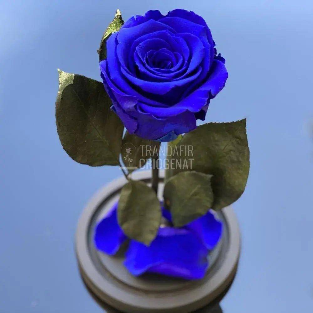 Cadouri Romantice și rafinate: Aranjamente Florale Premium cu Trandafiri Criogenați în Cupolă de Sticlă - Trandafir-Criogenat.ro