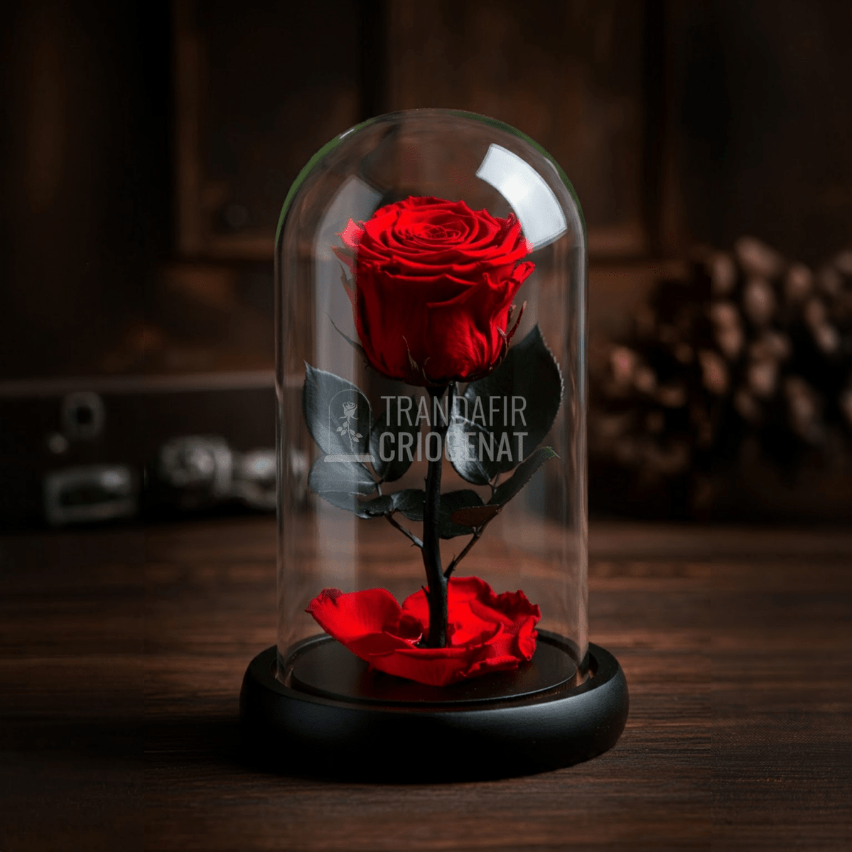 Romanticism la Superlativ: Trandafiri Criogenați în Cupolă de Sticlă pentru Cadouri de Lux Valentine’s Day - Trandafir-Criogenat.ro