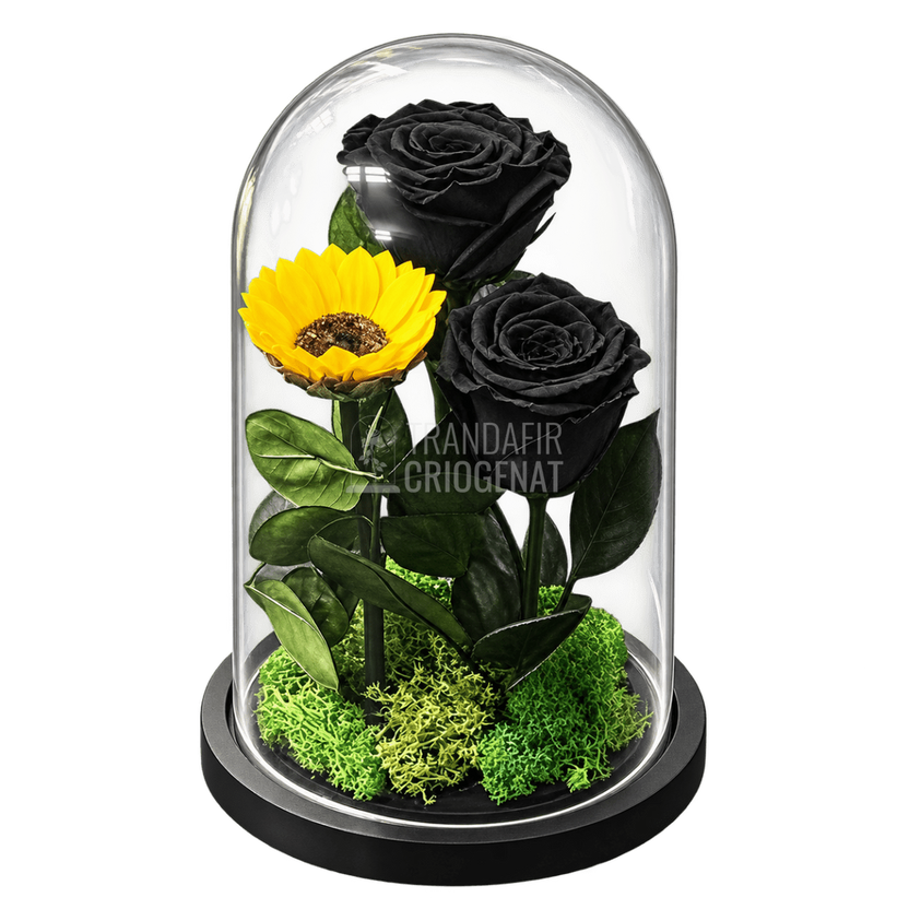 2 trandafiri criogenați negri și floarea-soarelui galbenă în cupolă de sticlă 15 × 25 cm - Trandafir-Criogenat.ro