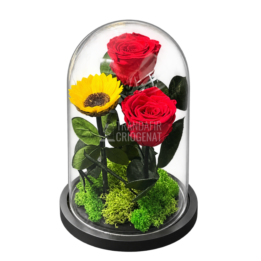 2 trandafiri criogenați roșii și floarea-soarelui galbenă în cupolă de sticlă 15 × 25 cm - Trandafir-Criogenat.ro