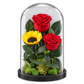 2 trandafiri criogenați XL roșii și o floarea-soarelui XL galbenă în cupolă de sticlă 15 × 25 cm - Trandafir-Criogenat.ro