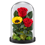 2 trandafiri criogenați XL roșii și o floarea-soarelui XL galbenă în cupolă de sticlă 15 × 25 cm - Trandafir-Criogenat.ro