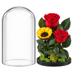 2 trandafiri criogenați XL roșii și o floarea-soarelui XL galbenă în cupolă de sticlă 15 × 25 cm - Trandafir-Criogenat.ro