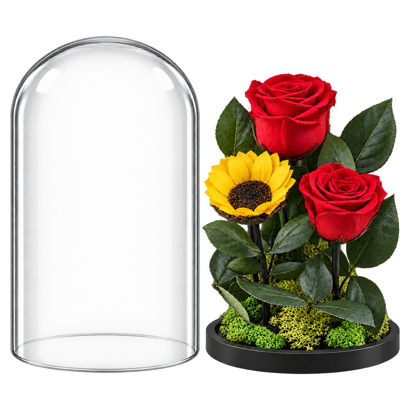 2 trandafiri criogenați XL roșii și o floarea-soarelui XL galbenă în cupolă de sticlă 15 × 25 cm - Trandafir-Criogenat.ro