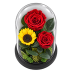 2 trandafiri criogenați XL roșii și o floarea-soarelui XL galbenă în cupolă de sticlă 15 × 25 cm - Trandafir-Criogenat.ro