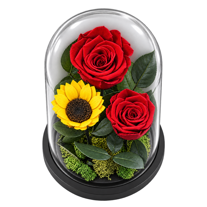 2 trandafiri criogenați XL roșii și o floarea-soarelui XL galbenă în cupolă de sticlă 15 × 25 cm - Trandafir-Criogenat.ro