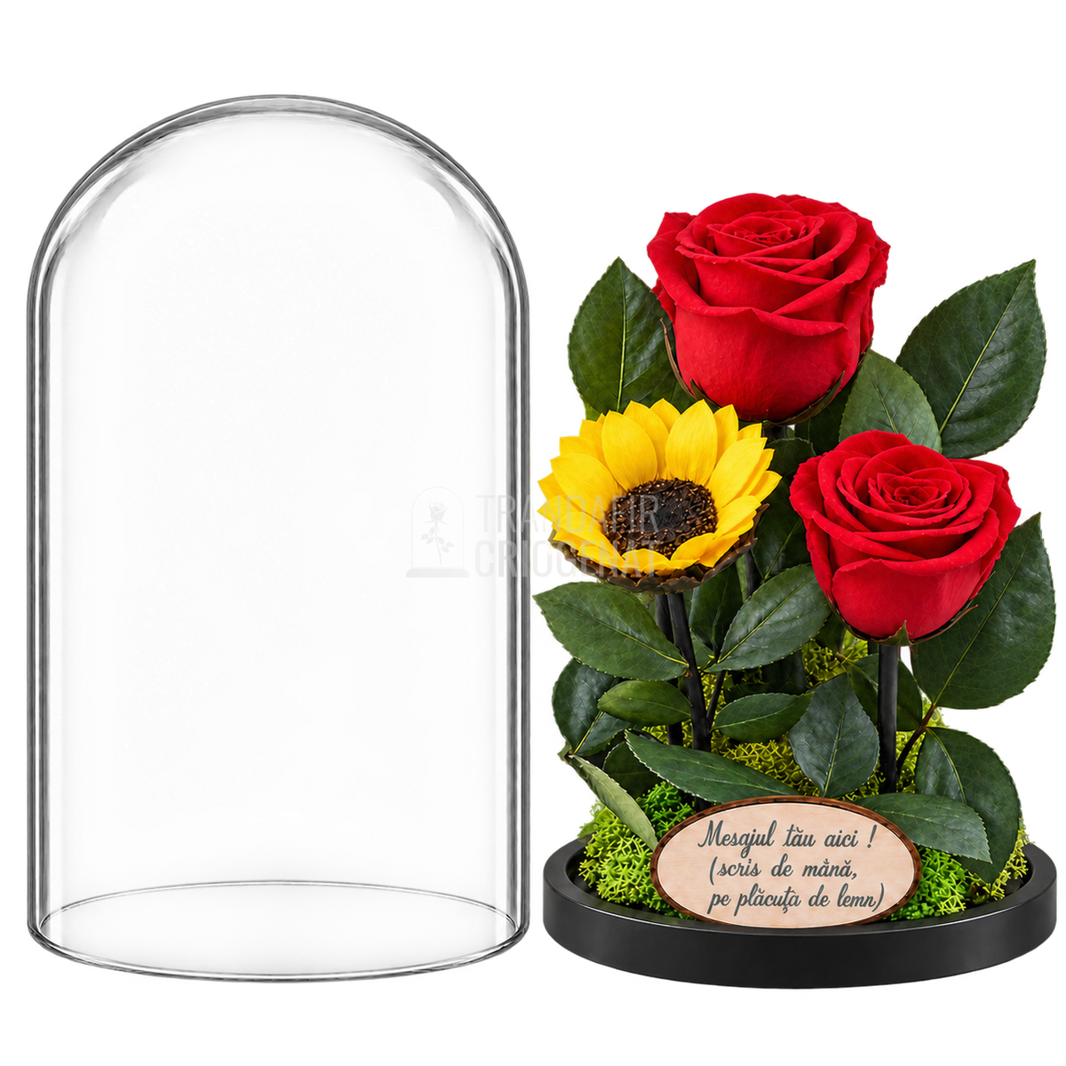 2 trandafiri criogenați XL roșii și o floarea-soarelui XL galbenă în cupolă de sticlă 15 × 25 cm - Trandafir-Criogenat.ro