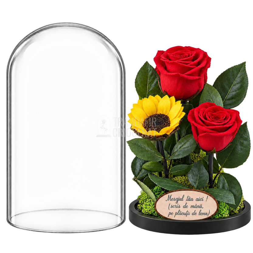 2 trandafiri criogenați XL roșii și o floarea-soarelui XL galbenă în cupolă de sticlă 15 × 25 cm - Trandafir-Criogenat.ro