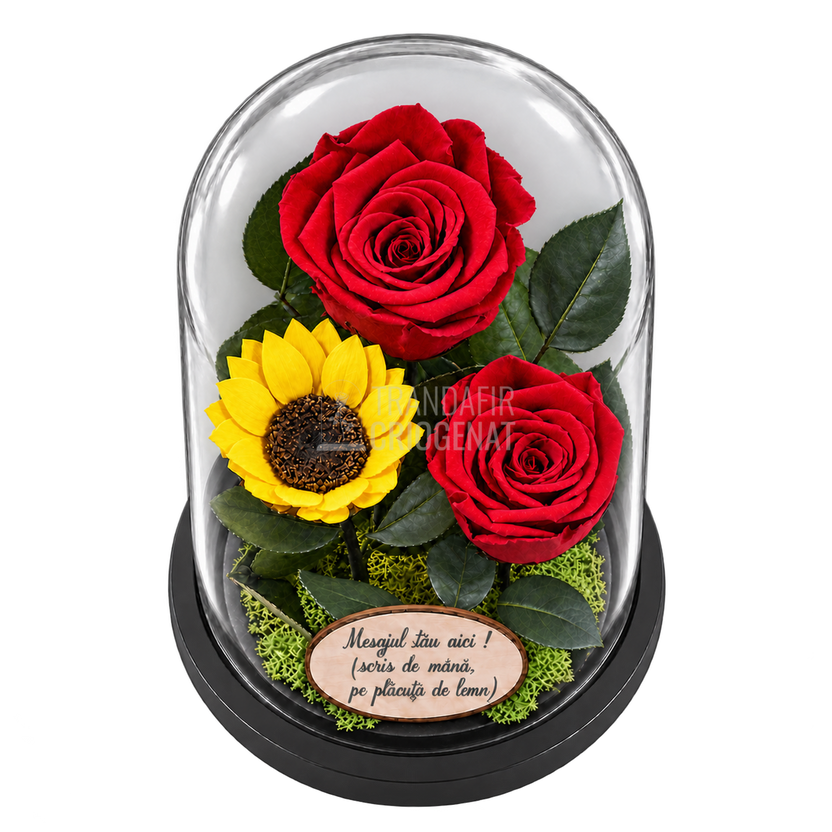2 trandafiri criogenați XL roșii și o floarea-soarelui XL galbenă în cupolă de sticlă 15 × 25 cm - Trandafir-Criogenat.ro