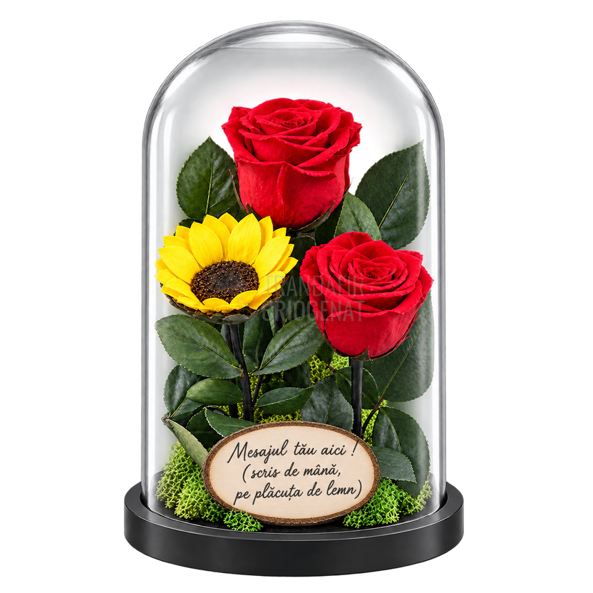 Doi trandafiri criogenați XL roșii și o floarea-soarelui XL galbenă în cupolă, cu plăcuță personalizată pe baza neagră, fără ursuleț