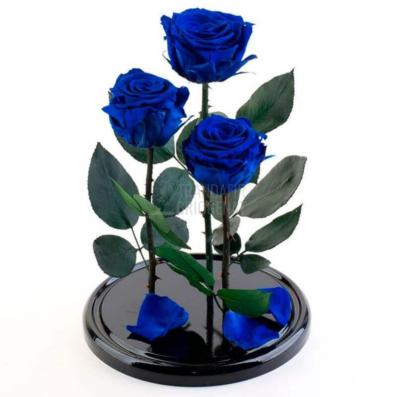 3 Trandafiri Criogenati XL Albastrii In Cupolă De Sticlă Cu Mesaj Personalizat Cadou Elegant